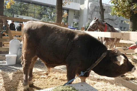 DSC00258.max-2560x1440.format-webp.jpegquality-90.webp