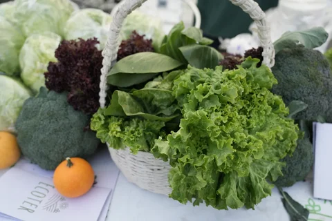 DSC00388.max-2560x1440.format-webp.jpegquality-90.webp