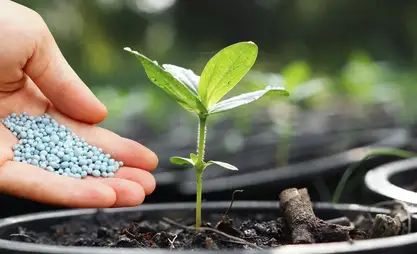 Kyrgyzstan imposes temporary ban on export of mineral fertilizers
