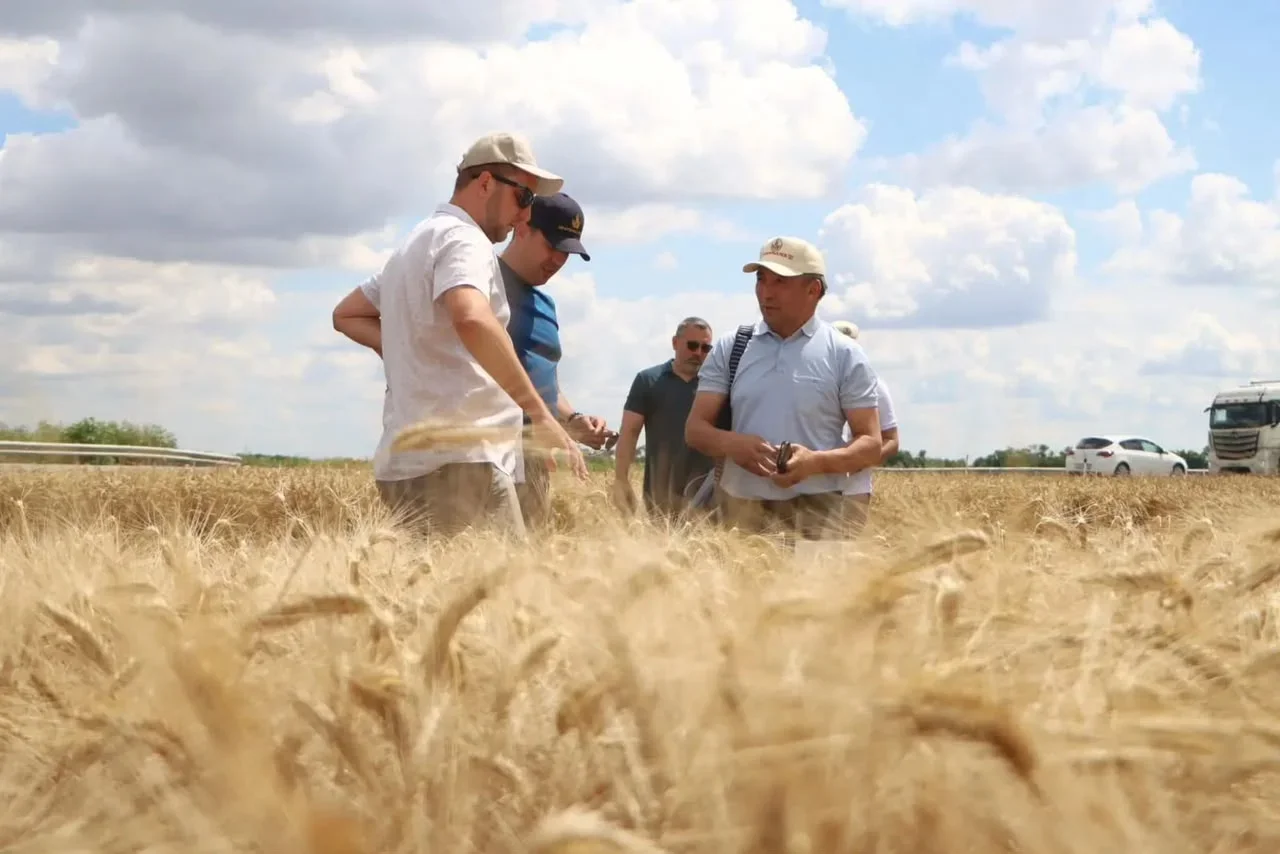 {{item.title }}
