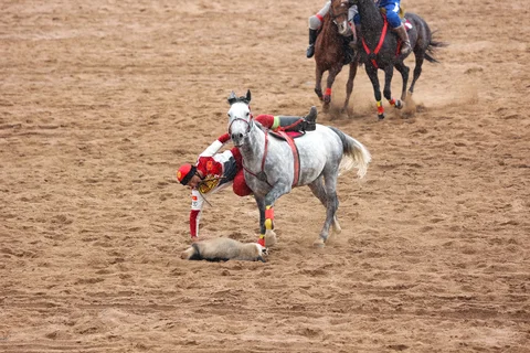 IMG_6113.JPG.max-2560x1440.format-webp.jpegquality-90.webp