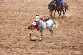 IMG_6113.JPG.max-2560x1440.format-webp.jpegquality-90.webp