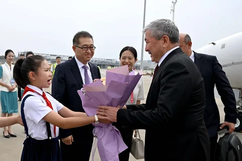 IMG_8052.webp