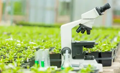Over 206 thsd cubic meters of regulated objects decontaminated in Kyrgyzstan in 2024