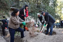 IMG_9187.max-2.max-2560x1440.format-webp.jpegquality-90.webp