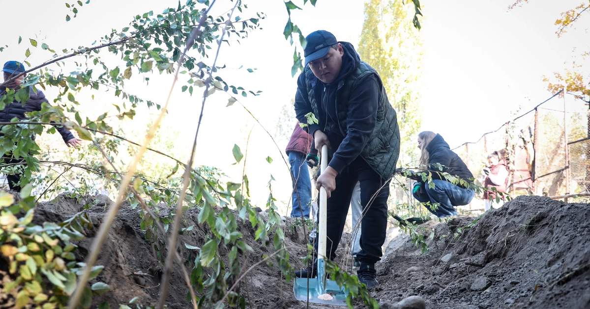 15,000 saplings planted in Bishkek’s parks, photo report