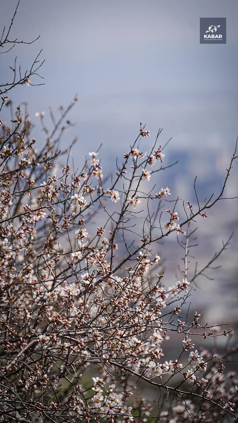 Isko.00_15_55_15.Still012.max-1920x1080.format-webp.webp