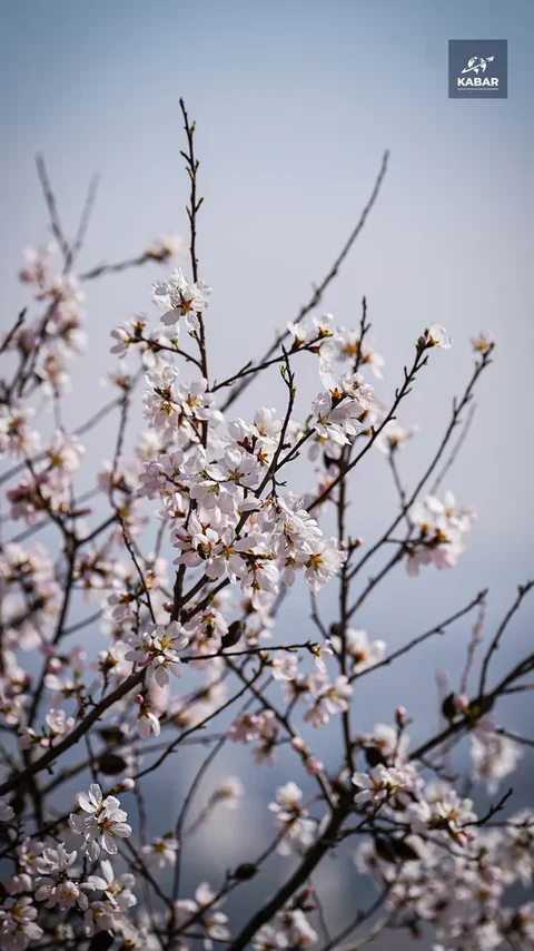 Isko.00_16_14_22.Still016.max-1920x1080.format-webp.webp