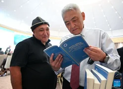 LU82mtfj4vLbo2x2.jpeg