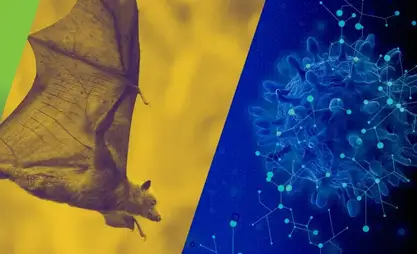 Risk of Nipah virus spread in Kyrgyzstan remains low