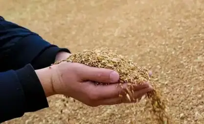 Kazakhstan to raise share of processed farm products to 70%