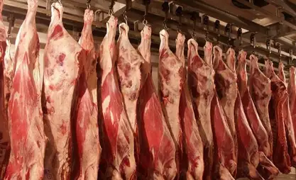 Kazakhstan produces 608,800 tons of meat in 7 months of 2025