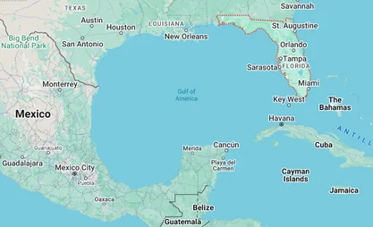 Screenshot-2025-02-11-at-11-05-53.png.webp