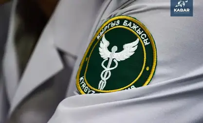 Kyrgyz Customs exceeds 9M target by 6.1 billion som