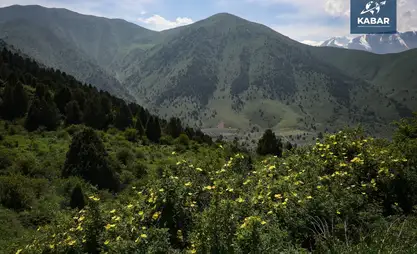 Kyrgyz Parliament supports draft law on climate action