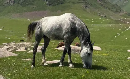 Kyrgyzstan's Suusamyr and Chychkan best spot in summer