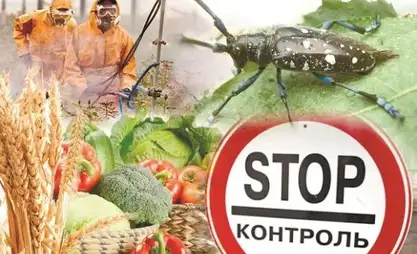 Quarantine phytosanitary control improved in EAEU