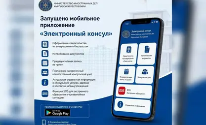 Electronic consul app to help Kyrgyz citizens abroad
