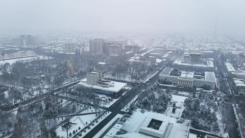 WhatsApp_Image_2025-01-31_at_17.00.12.original.jpeg
