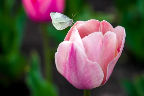 WhatsApp_Image_2025-04-08_at__8hIx35l.max-1920x1080.format-webp.webp