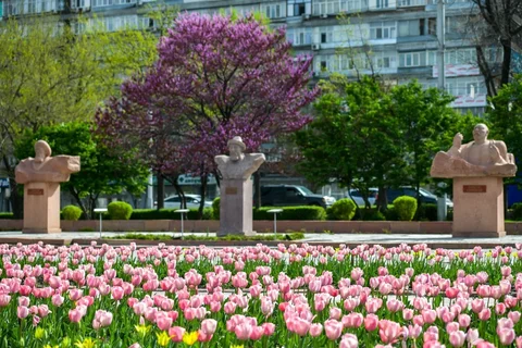 WhatsApp_Image_2025-04-08_at__W9H6DZC.max-1920x1080.format-webp.webp