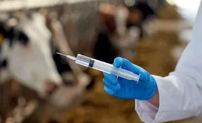 Veterinary measures in 2025 cover over 25.5 million animals in Kyrgyzstan