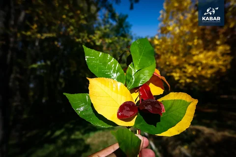 WhatsApp_Image_60fx2eI.max-2560x1440.format-webp.jpegquality-90.webp