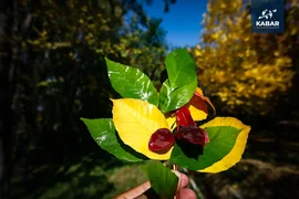 WhatsApp_Image_60fx2eI.max-2560x1440.format-webp.jpegquality-90.webp