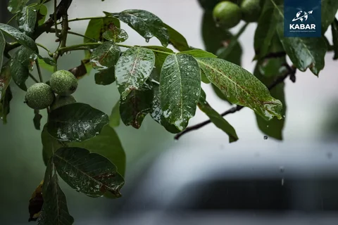 WhatsApp_Image_6DMCn4D.max-2560x1440.format-webp.jpegquality-90.webp