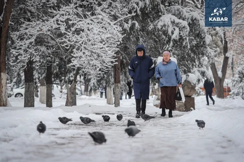 WhatsApp_Image_HvSzIZS.max-2560x1440.format-webp.jpegquality-90.webp