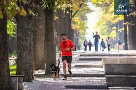 WhatsApp_Image_J7mQRFY.max-2560x1440.format-webp.jpegquality-90.webp