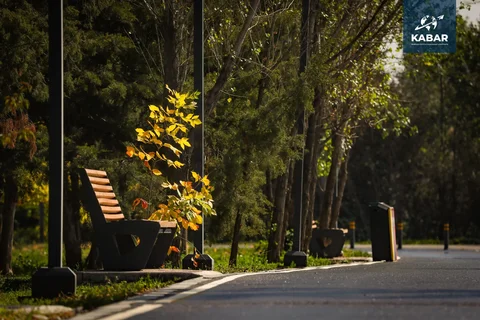 WhatsApp_Image_Qq8Ht82.max-2560x1440.format-webp.jpegquality-90.webp