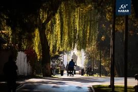 WhatsApp_Image_SjNadES.max-2560x1440.format-webp.jpegquality-90.webp