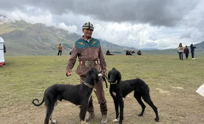 Young taigan race takes place in Kyrchyn Gorge