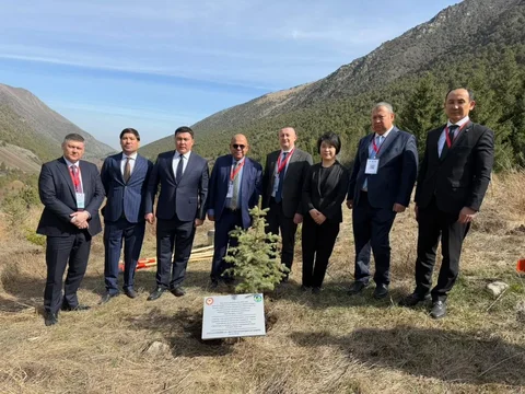 WhatsApp_Image_c6KSzLP.max-2560x1440.format-webp.jpegquality-90.webp