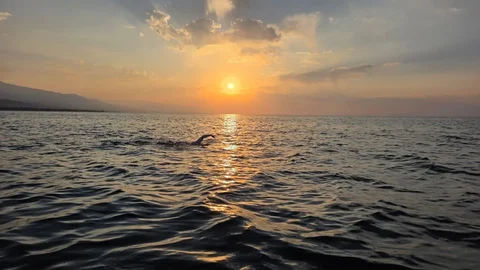 WhatsApp_Image_fouDmaA.max-2560x1440.format-webp.jpegquality-90.webp