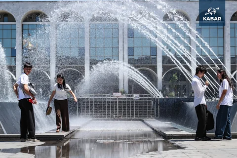 WhatsApp_Image_iDSyHCH.max-2560x1440.format-webp.jpegquality-90.webp
