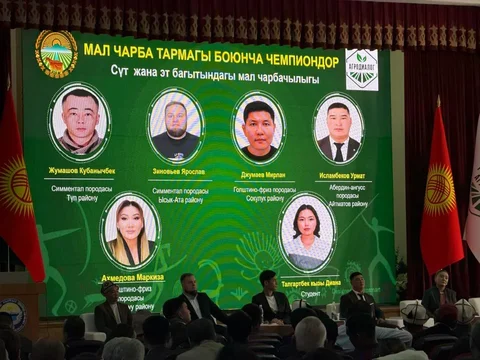 WhatsApp_Image_owUH3Kw.max-2560x1440.format-webp.jpegquality-90 (1).webp