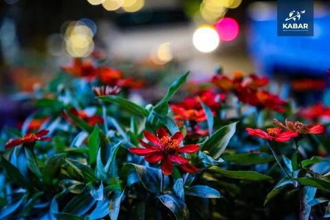 WhatsApp_Image_rNbdjrP.max-2560x1440.format-webp.jpegquality-90.webp