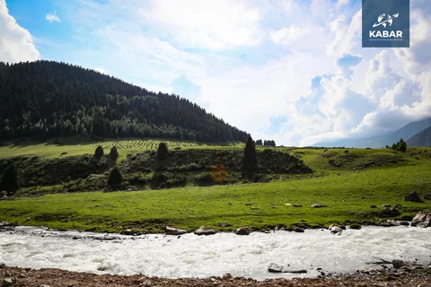 WhatsApp_Image_yfzxF0M.max-2560x1440.format-webp.jpegquality-90 — копия.webp