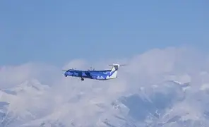 Direct flights Tamchy - Tashkent - Tamchy starts on July 8