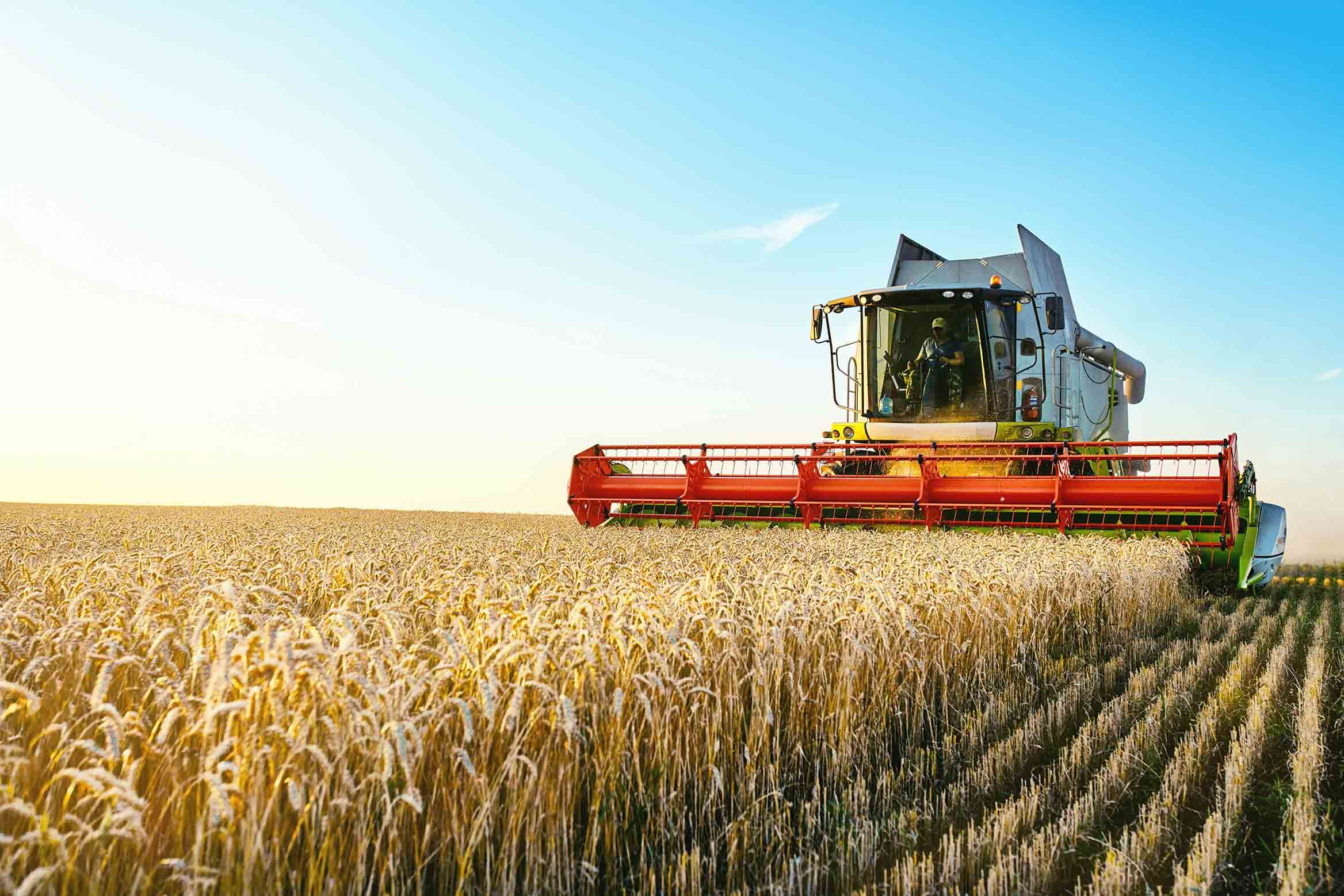 agriculture-harvest