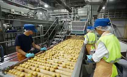 Another 36 processing plants to open by year-end, says Torobaev