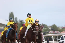 b1f60d8c-9f53-.max-2560x1440.format-webp.jpegquality-90.webp