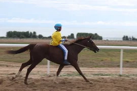 bd5b1c6c-6d74-.max-2560x1440.format-webp.jpegquality-90.webp