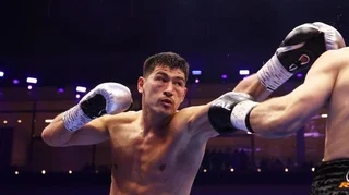 bivol.jpg