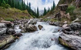 dc51412f11404624ec301e5fb9cb2a5.max-320x180.format-webp.webp
