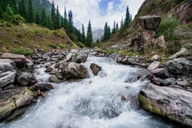 dc51412f11404624ec301e5fb9cb2a5.max-320x180.format-webp.webp
