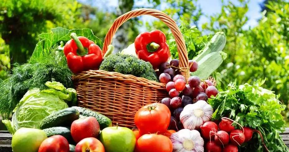 Kyrgyzstan aims to increase fruit and vegetable exports to Mongolia