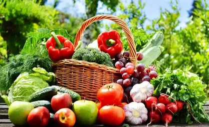 Kyrgyzstan aims to increase fruit and vegetable exports to Mongolia